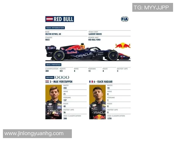 F1赛季车队排名及车手表现总结